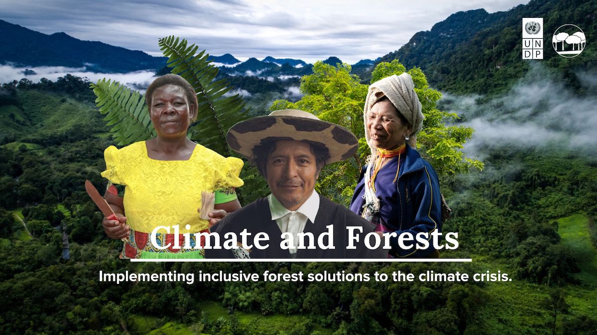 Initiatives | Climate And Forests