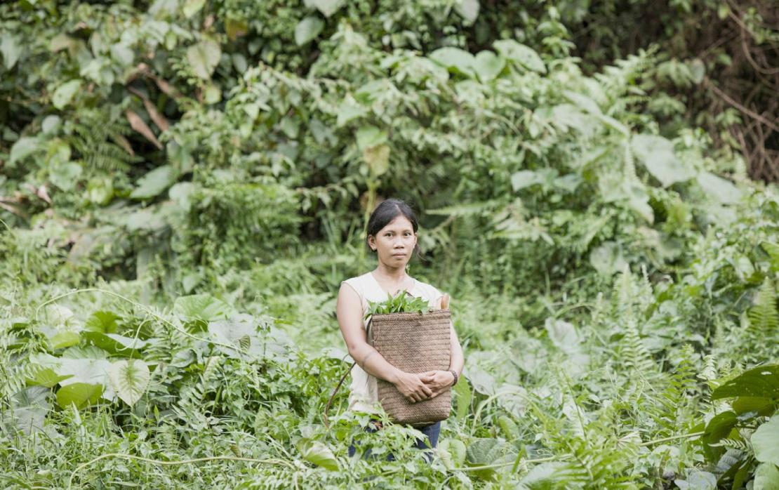 Indigenous Person from Thailand